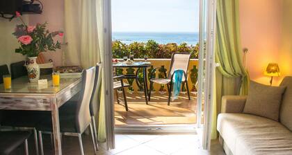 Villa Aris - Holidays & Rentoutuminen