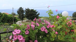 A garden with pink flowers and a view of the sea. - Villa Aris - Holiday & relaxation (Corfu - Kerkyra)