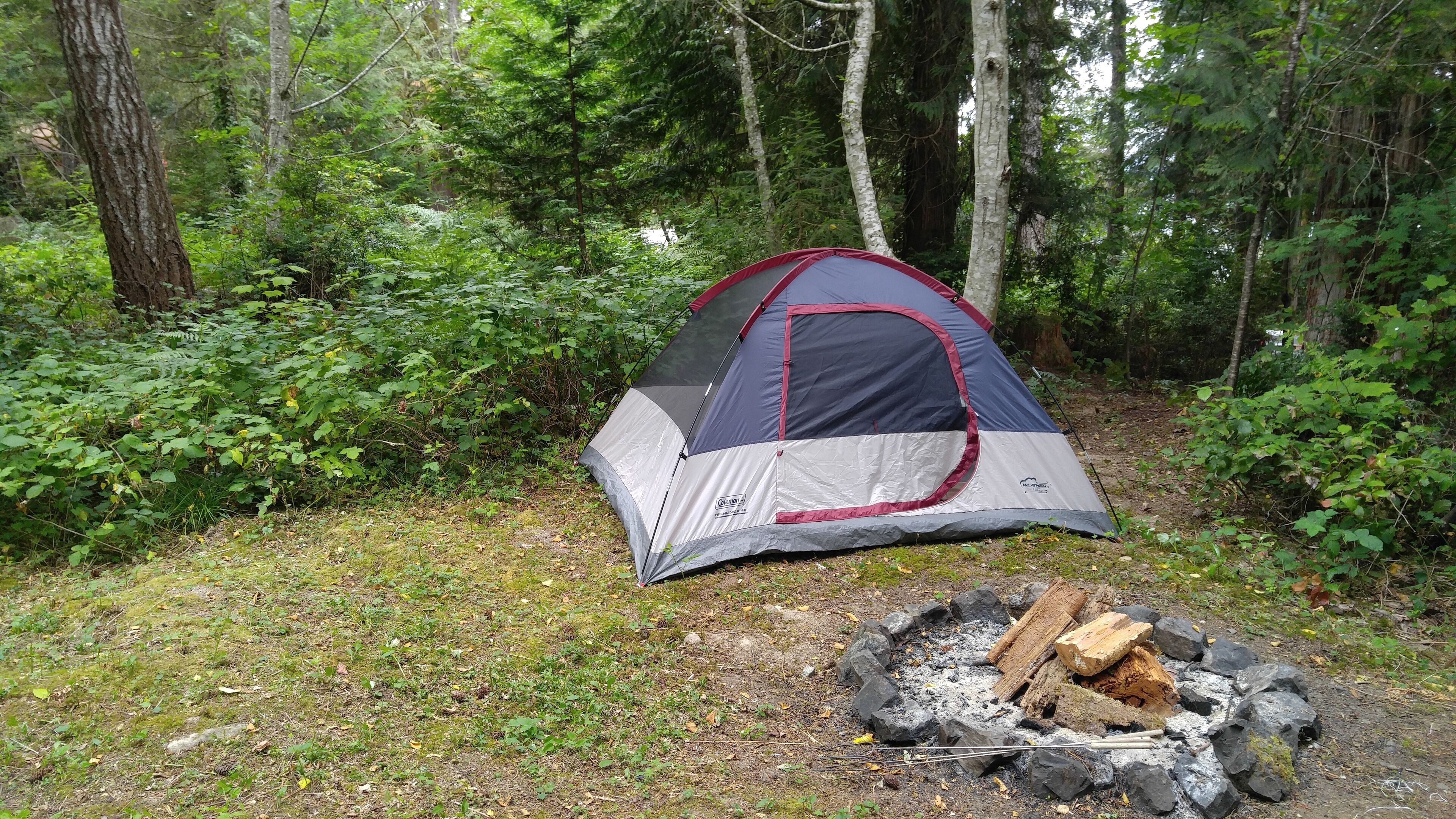 A tent set up in a forested area with a fire pit nearby.