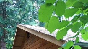 Una cabana de fusta amb terrassa, una porta i finestres.