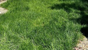 Vistes al llac amb una zona enjardinada, un moll i un turó forestal al fons.