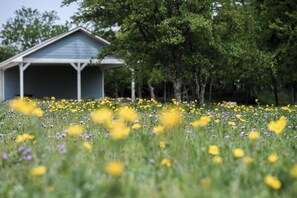 المنطقة المحيطة بالمنشأة