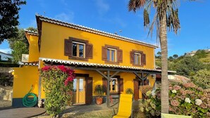A yellow two-story house with wooden shutters, a garden with various plants, and a yellow chair.