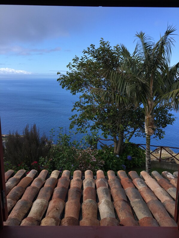 Eine Terrasse mit Meerblick, einer Palme und einer Reihe Terrakotta-Fliesen.