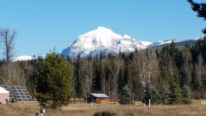 Unclassified image, 2 of 31, button