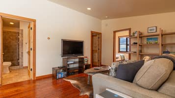 Smart TV, video games, DVD player, books