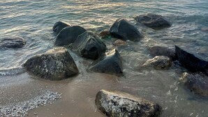 Beach - BeachFrontRental-Tennis court&playground directly across the street!DogsWelcome (Elk Rapids)