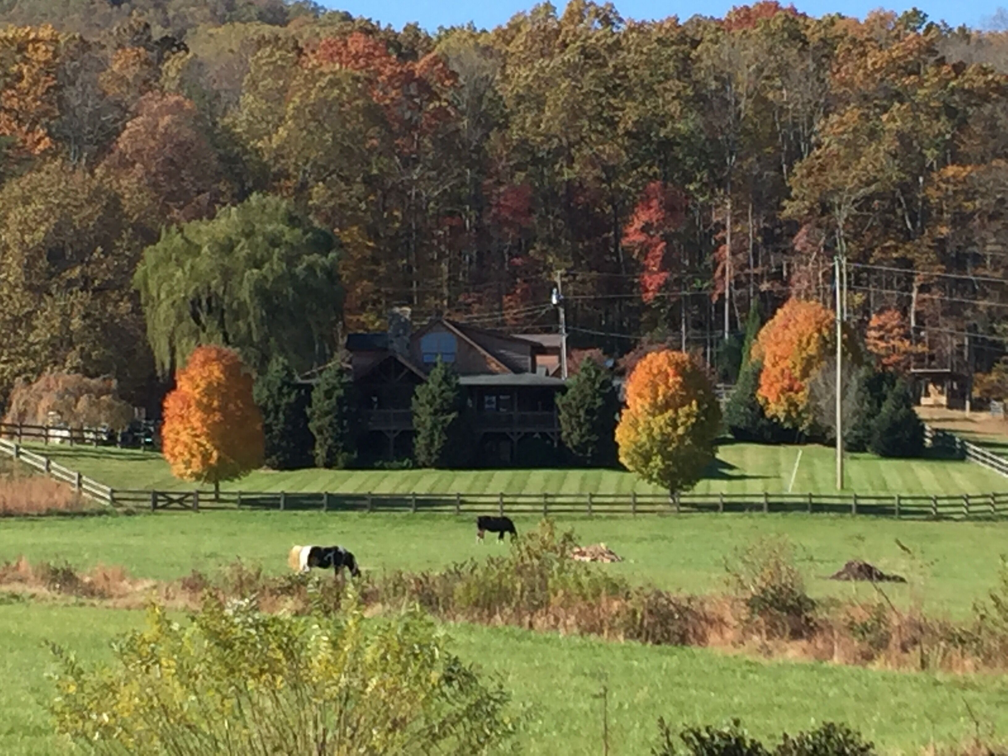 A rural landscape with a house surrounded by trees and a fenced field.