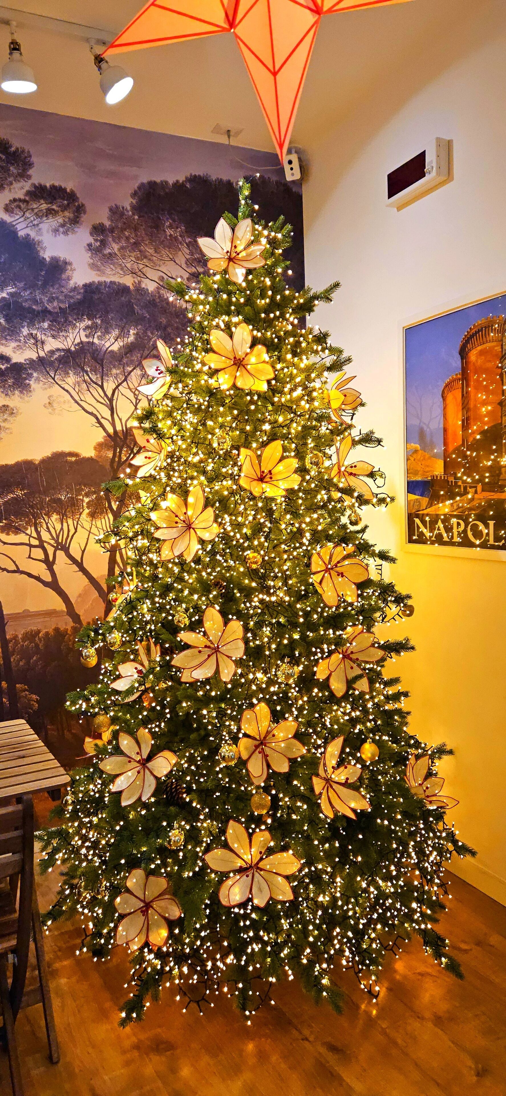 Photo - Napoli Tree - Lungomare