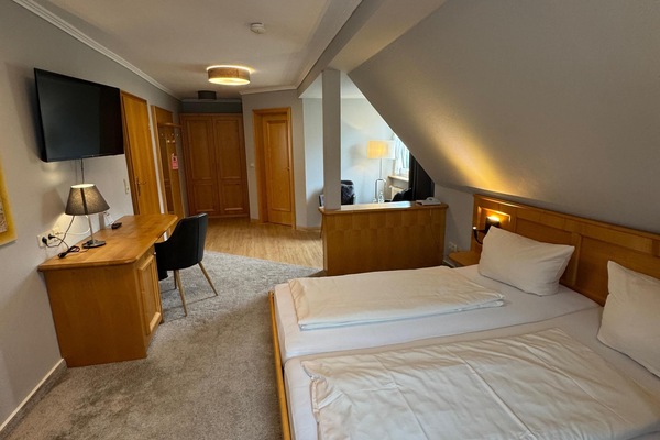 Deluxe Double Room | Hypo-allergenic bedding available, in-room safe, desk, soundproofing