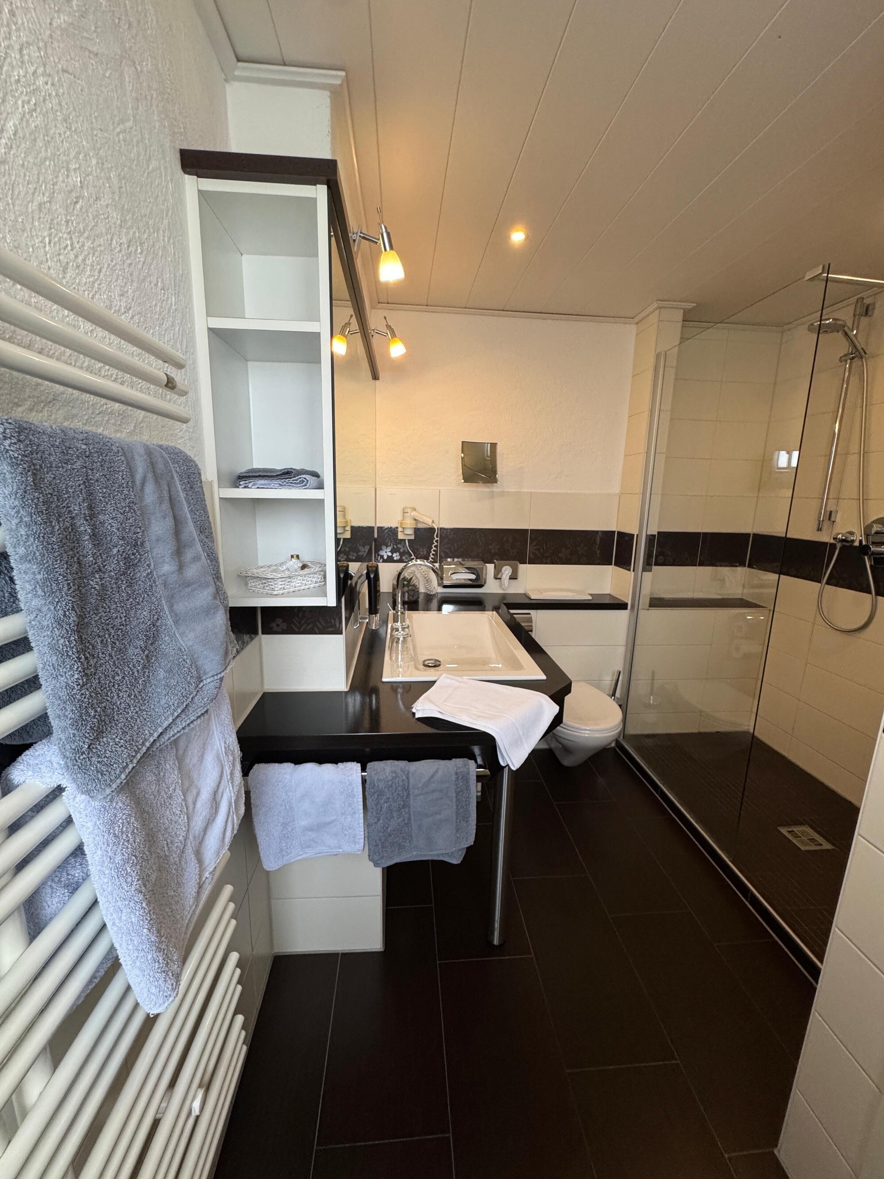 deluxe double room | bathroom | shower, free toiletries, bathrobes, towels