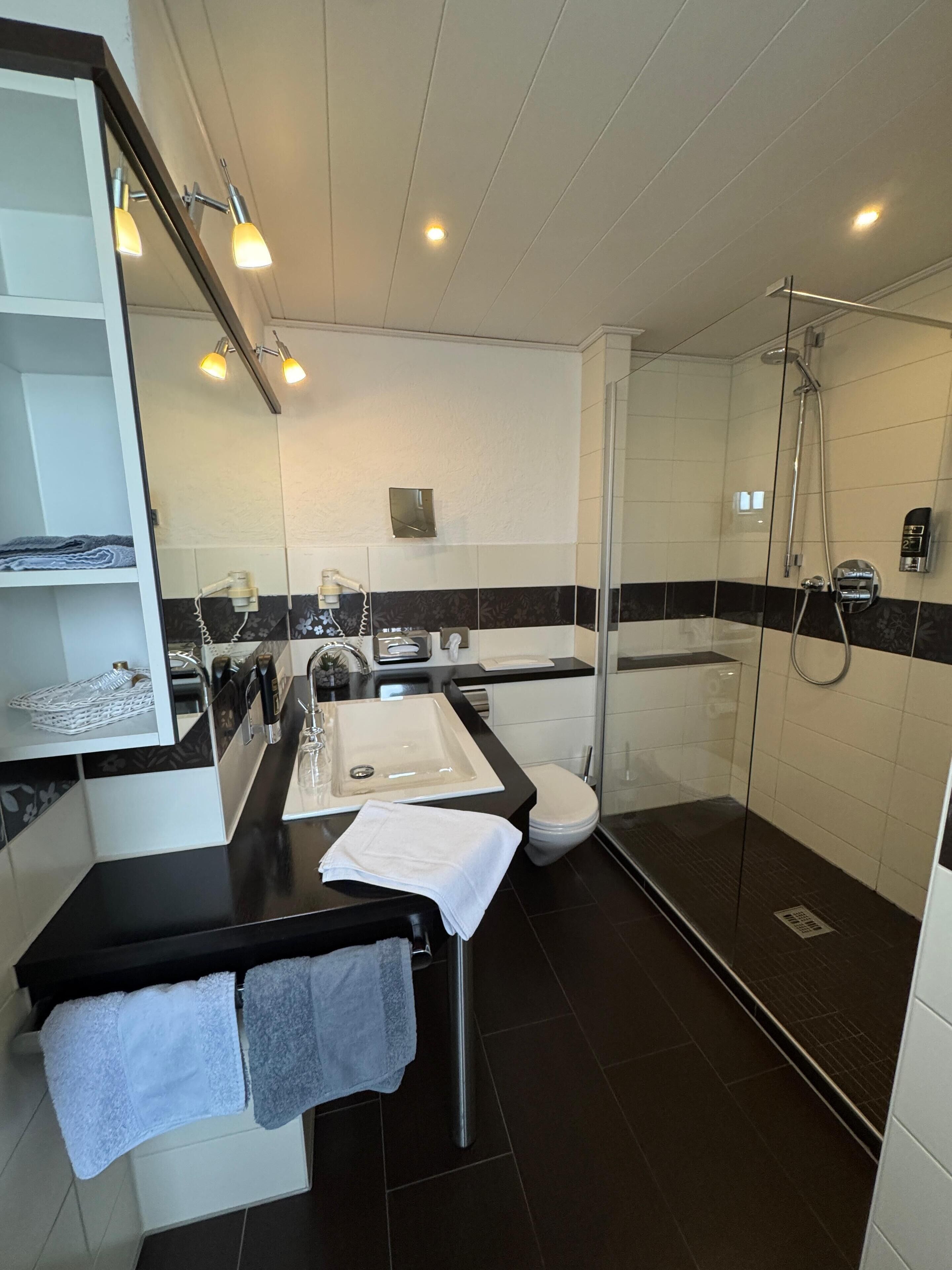 deluxe double room | bathroom | shower, free toiletries, bathrobes, towels