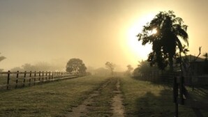 Camino rural con una cerca a un lado y árboles al otro, que se dirige hacia el sol.