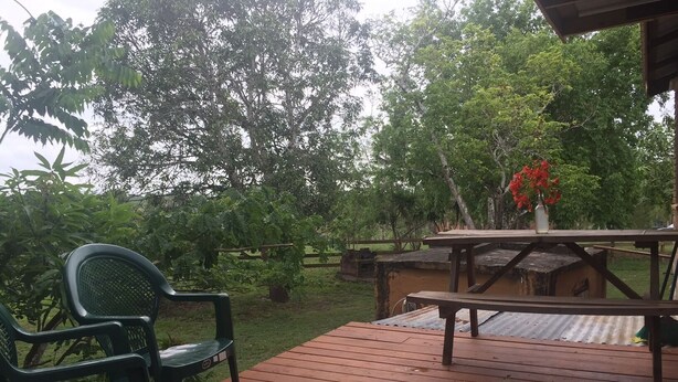 Una terraza de madera con una mesa y sillas de picnic, rodeada de abundante follaje y árboles.