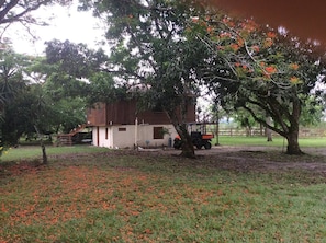 View from east.
Enter the stairs on the left. Your deck is on the opposite side.