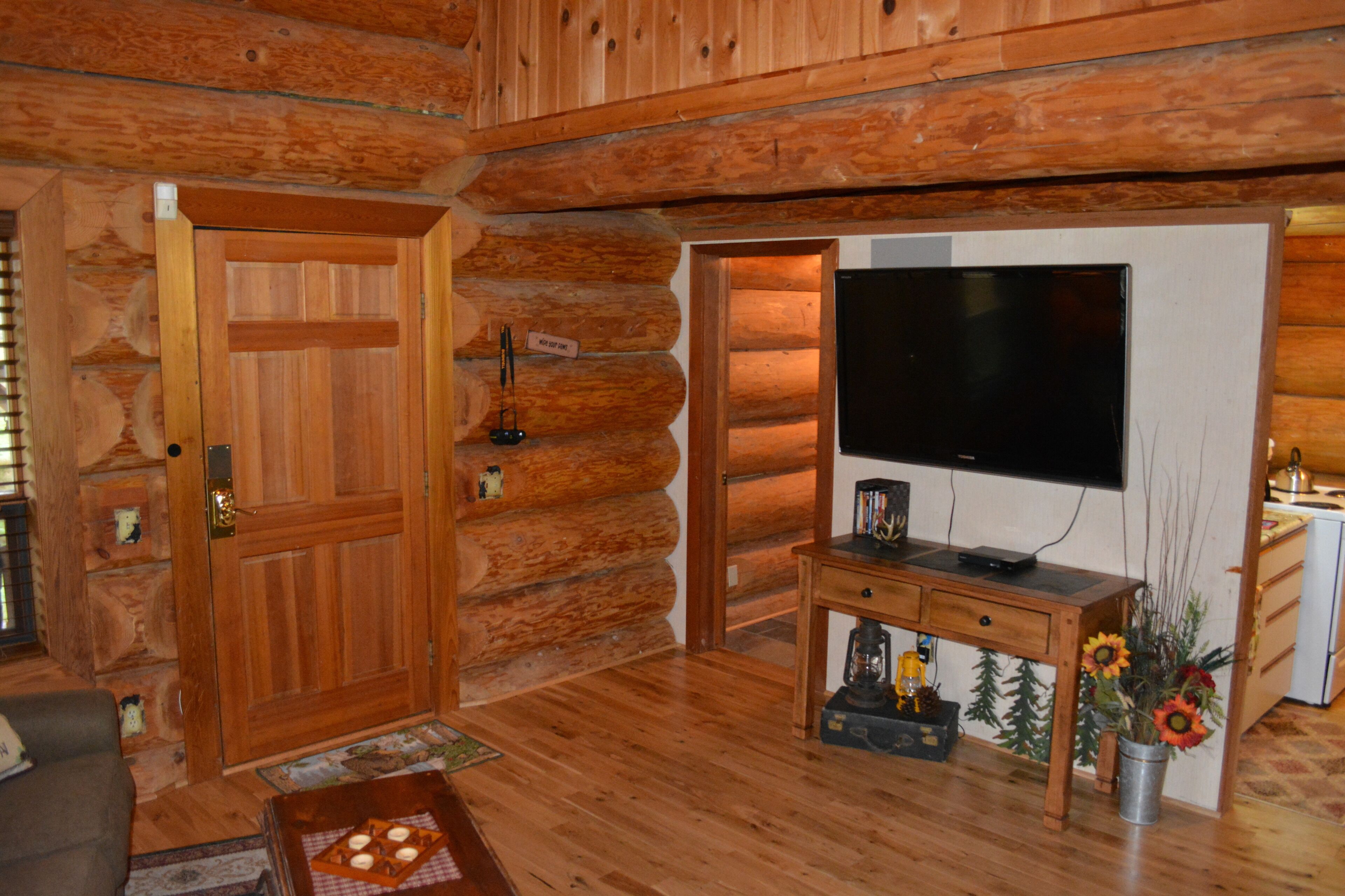 TV, DVD player, books, music library