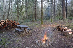 A forest campsite with a picnic table and a campfire. - Cabin In The Wildwood (Chehalis)
