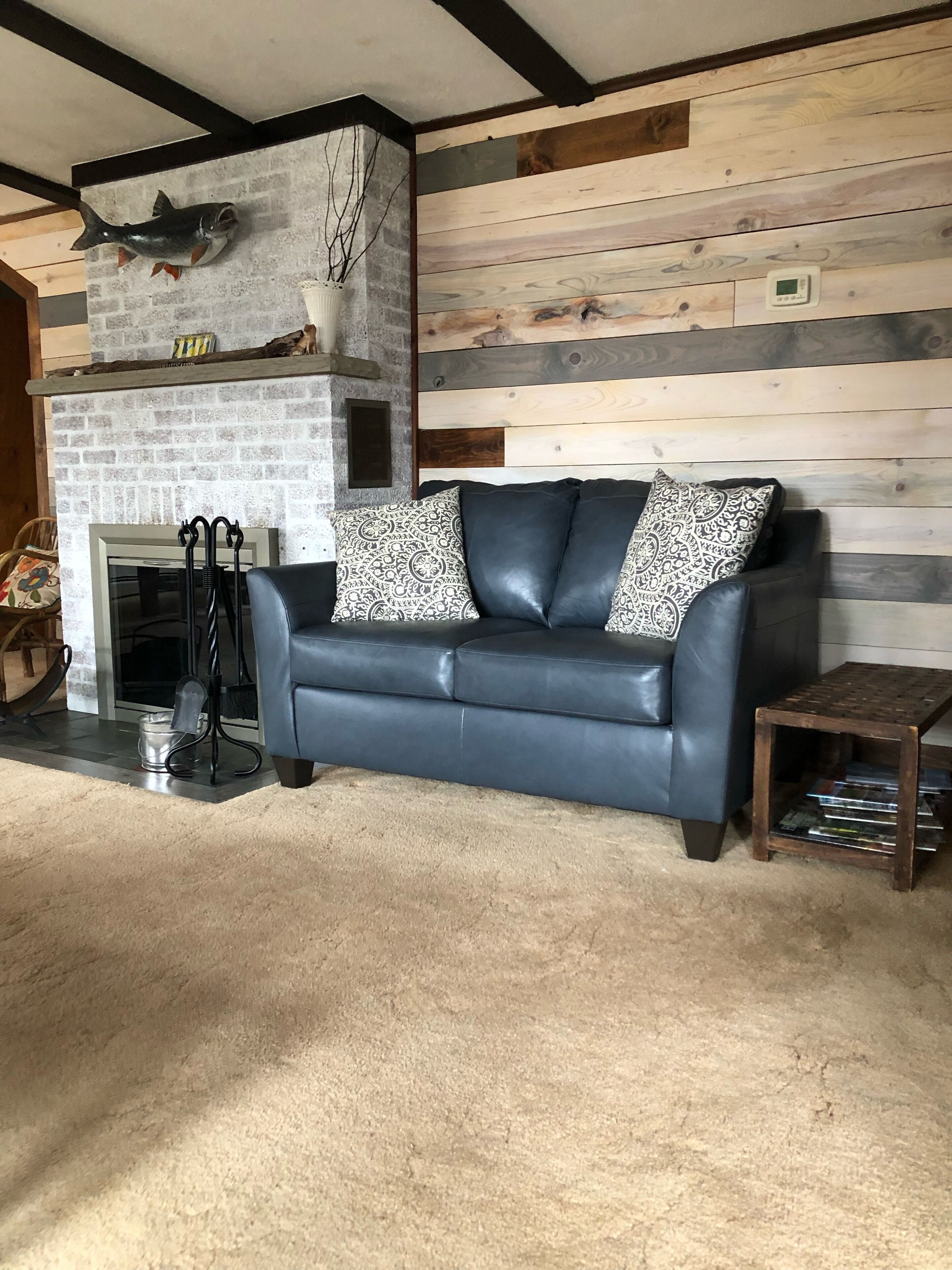TV, fireplace, books