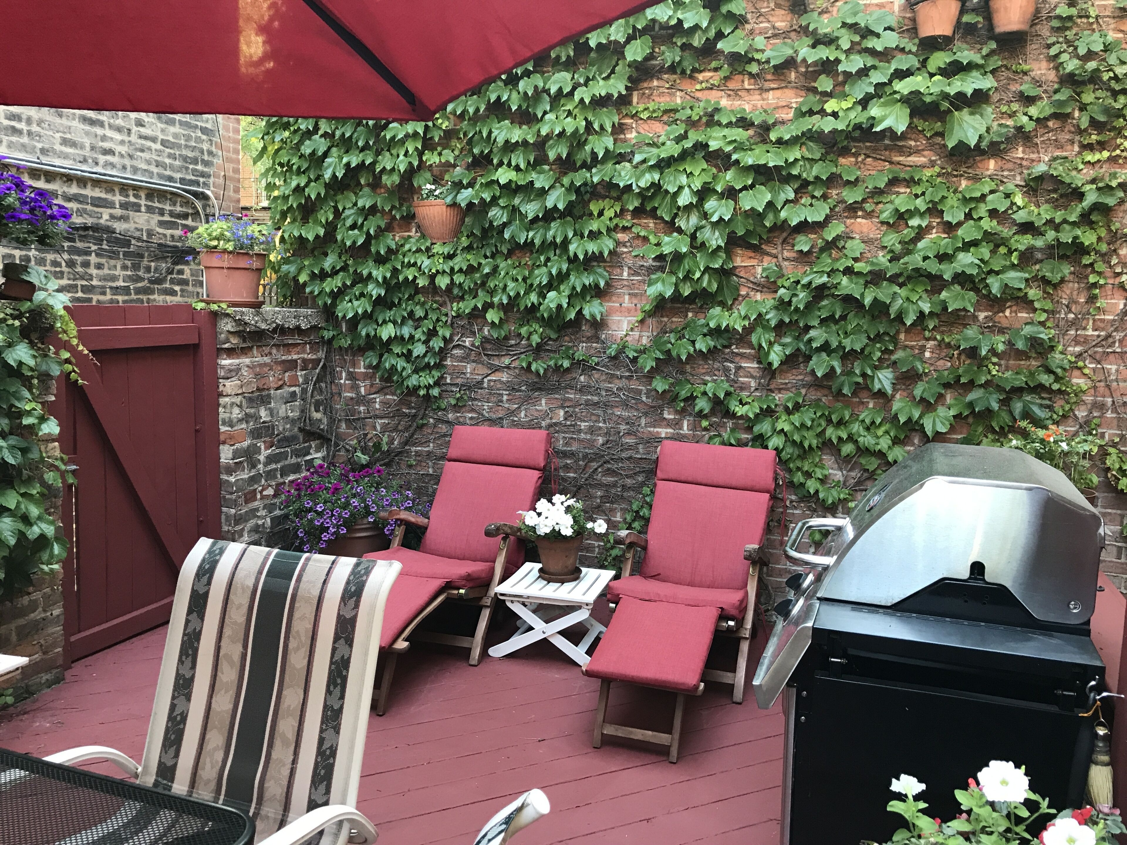 Terrein van de accommodatie