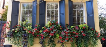 Unique Zen Tiny House 2 mi to Beach ~ Free Bikes! Minutes to Historic Charleston