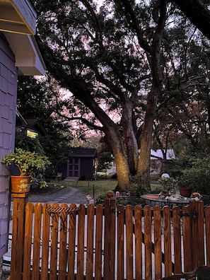 A wooden fence, a large tree, and a small building with a purple door. - Unique Zen Tiny House 2 mi to Beach ~ Free Bikes! Minutes to Historic Charleston (Mount Pleasant)