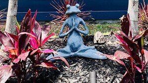 Un jardín con una estatua de rana, plantas rojas y una casa azul al fondo.