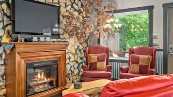 TV connectée, cheminée, lecteur de DVD, livres