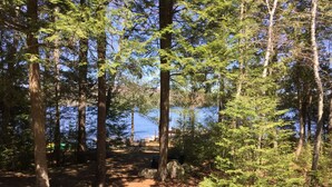 En skovomkranset campingplads med udsigt til en sø, med et picnicbord og bålsted.