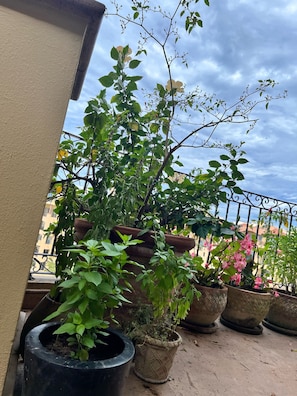 Dettaglio esterni
