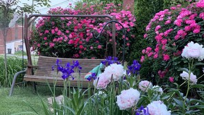 Ein Garten mit einer Holzbank, rosa und weißen Blumen und einer Metallschaukel.