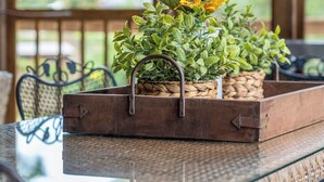 A wooden table with woven baskets containing green plants and a sunflower. - “Fun” place! — Exceptional" —near Oaklawn Park, Garvin Gardens and Restaurants (Hot Springs)