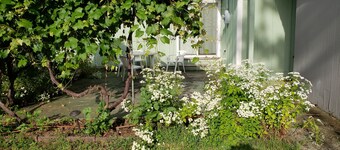 2 Schlafzimmer 1Bad, für 5 Personen