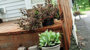 A wooden porch with a potted plant and a small succulent. - Dartt's Park Garden View - 1 Bedroom (Owatonna)