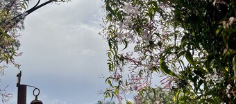 Romantic SLO Wine Country Retreat near beaches