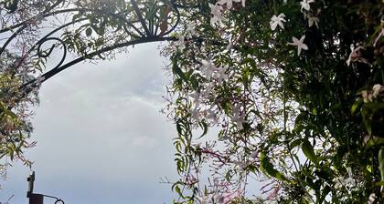 Romantic SLO Wine Country Retreat near beaches