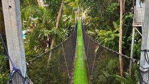 A rope bridge over a green pathway surrounded by lush vegetation. - Jungle Family Villa in Quepos: Pool, Waterslide & Zipline — Sleeps 6-8 (Parrita)