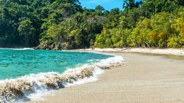 A beach with clear turquoise water, sandy shore, and dense green foliage in the background. - Jungle Family Villa in Quepos: Pool, Waterslide & Zipline — Sleeps 6-8 (Parrita)