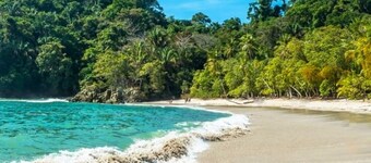 Tarzan Jungle Home - Zipline, basseng, vannsklie, AC, rask wifi!