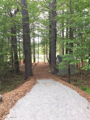 Escape to a serene forest retreat, where a winding pathway leads to a cozy cabin nestled among tall trees.