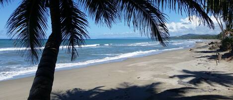 On the beach, sun loungers, beach towels