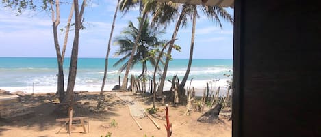 En la playa, camastros y toallas de playa 