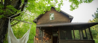Spiral Staircase Leads To The Lofted Bedroom And Overlooks The Birch Woods.