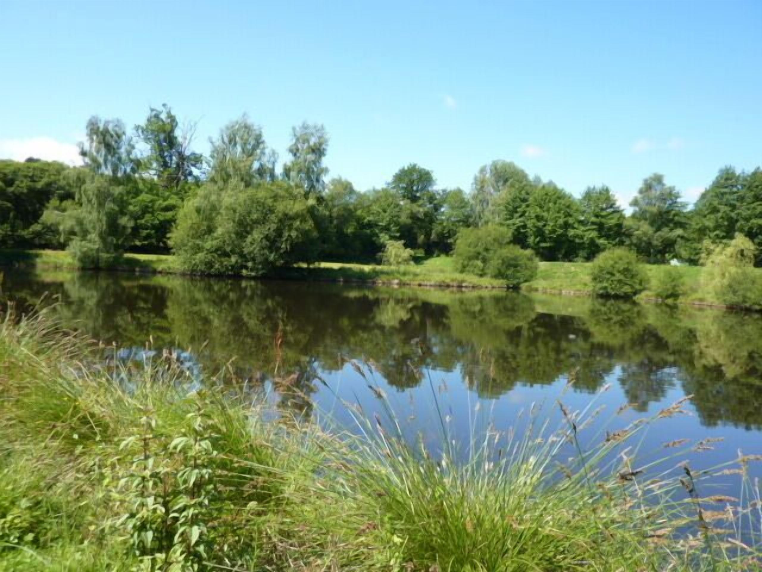 Un llac tranquil amb vegetació densa i arbres que es reflecteixen a l'aigua.