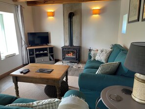 Télévision, cheminée, lecteur de DVD, vidéothèque