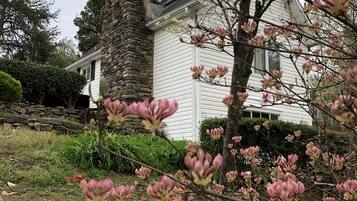 Terrain de l’hébergement