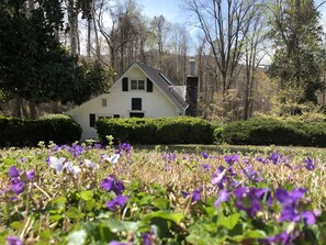 Property grounds - Historic Victoria Lea Guest Cottage In Downtown Tryon, NC (Tryon)