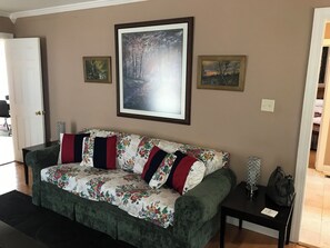 Smart TV, fireplace, DVD player, video library