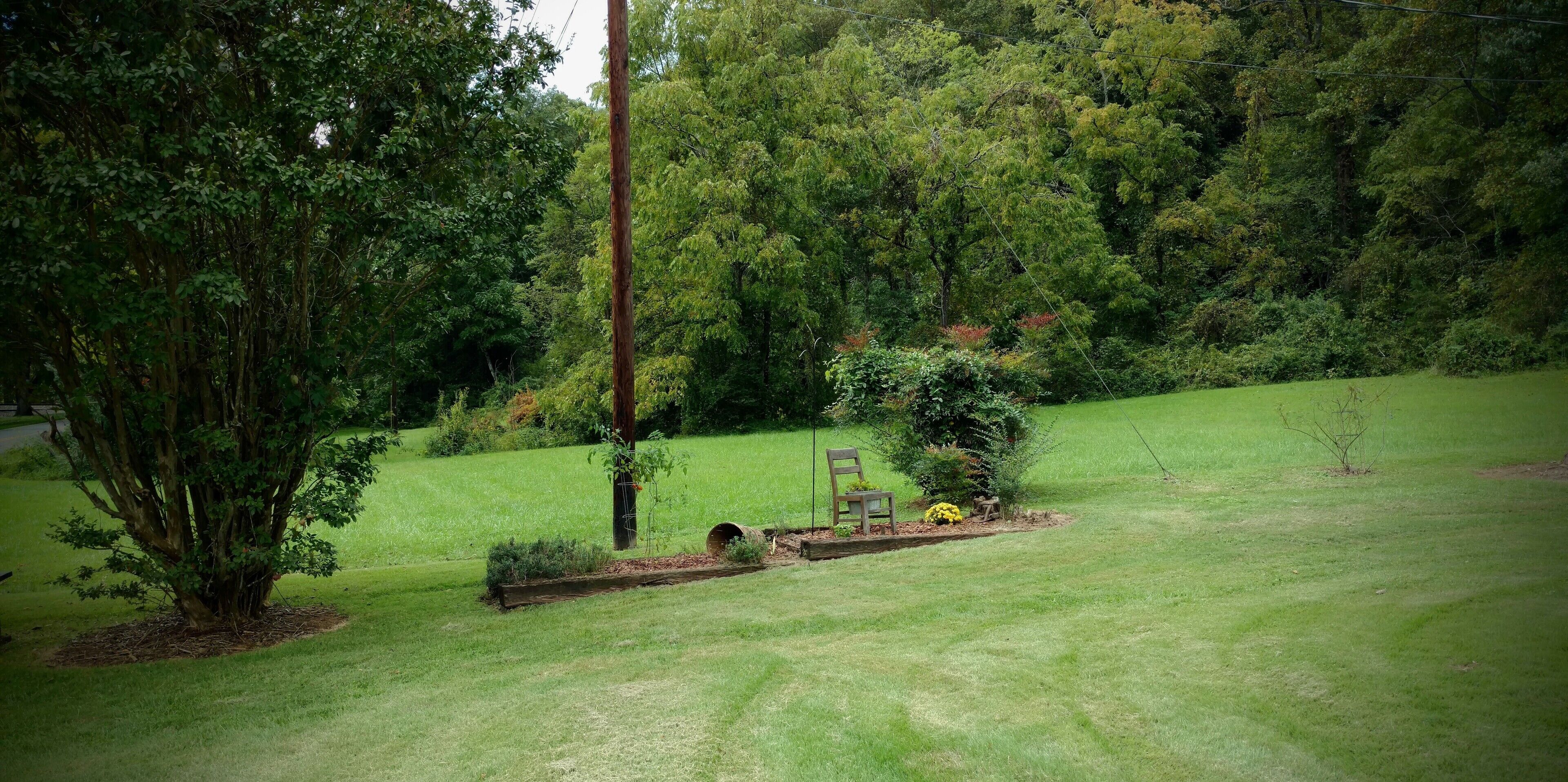 Un espacio al aire libre con césped, un banco de madera, un árbol y un pequeño jardín con flores amarillas.