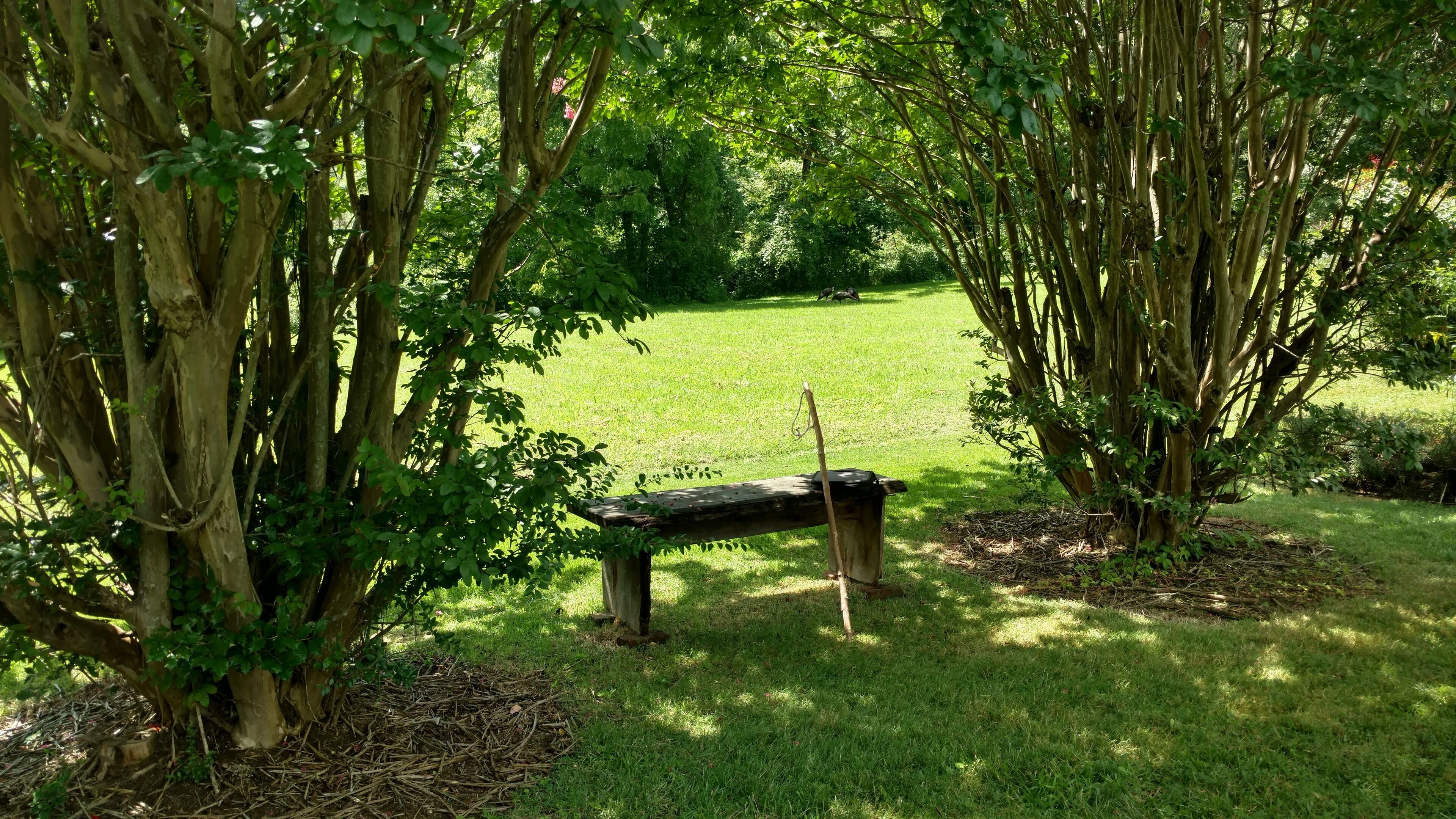 Um banco num jardim com árvores e relva.