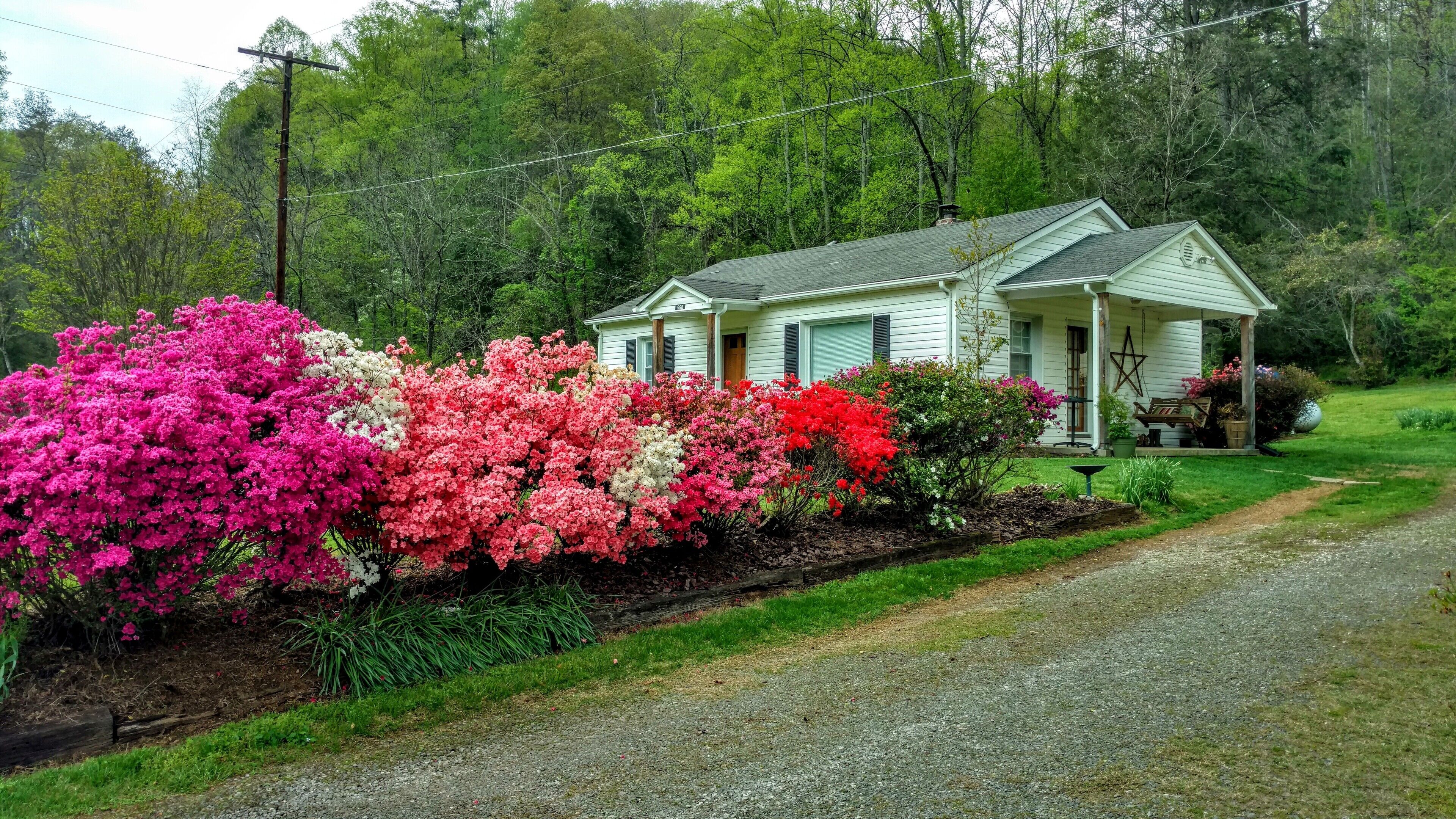 Ein Haus mit einer Veranda, umgeben von einem Garten mit verschiedenen blühenden Pflanzen.